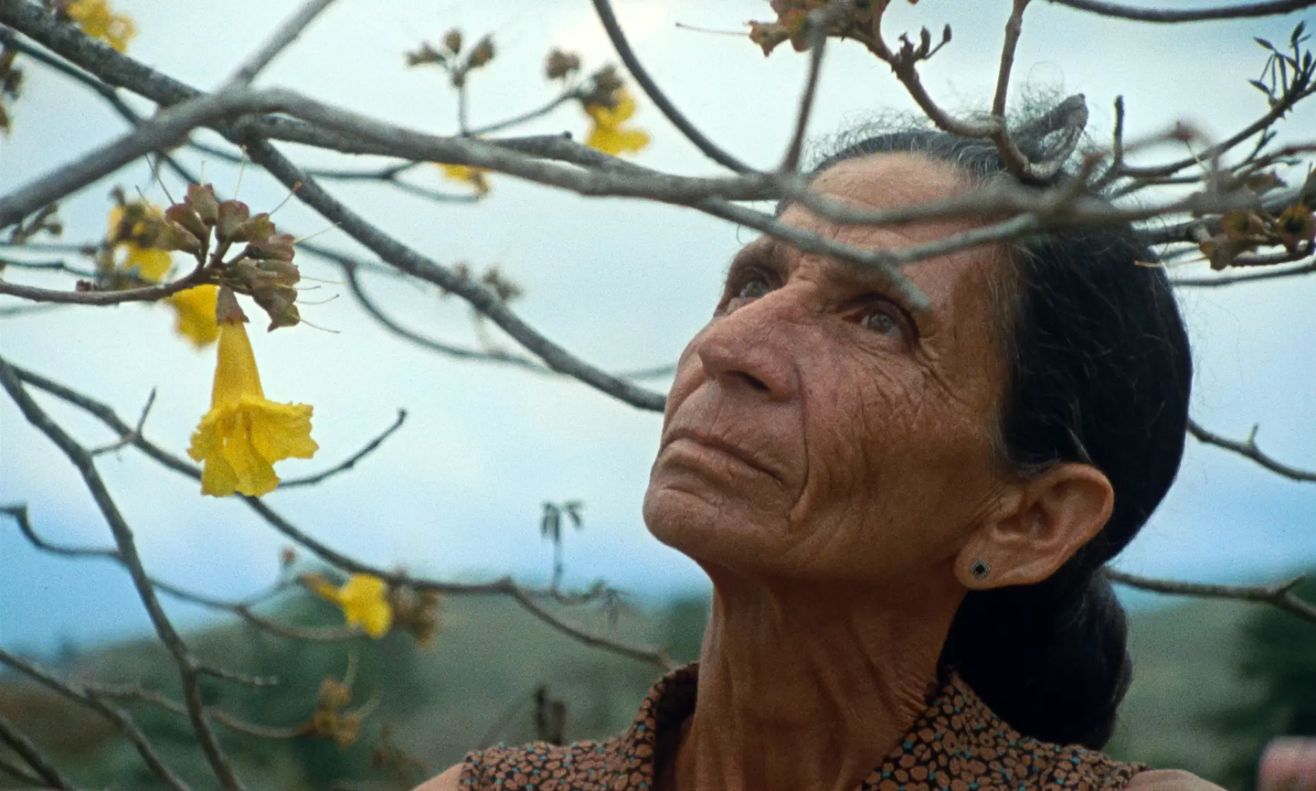 黑色義大利麵-圖片